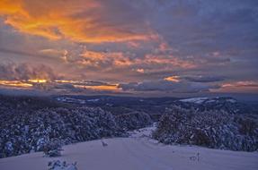 Sunset Winter forest Landscape