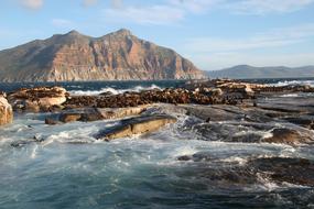 Duiker Island South Africa