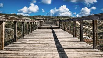 Sky Nature Wood bridge