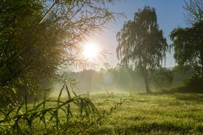 bright sun over a green meadow in saxony