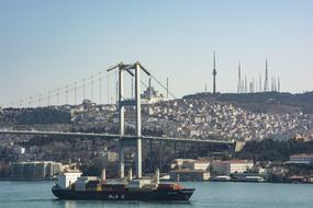 Marine Throat in Istanbul