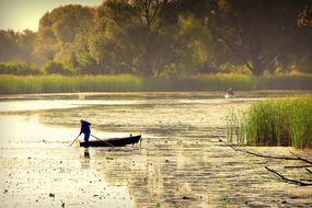 The Fisherman at Pond Lake