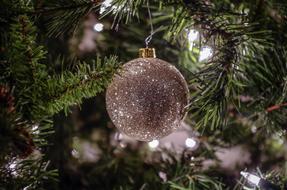 shiny christmas ball on a green branch