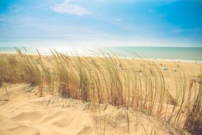 sea Beach Sand Shore