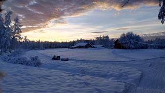 Winter Mood, Snowy rural Landscape, finland, lapland