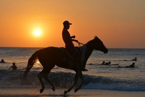 rider silhouette on the beach at dusk