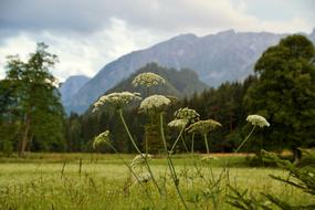 Austria Alps Evening