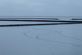panorama of the evening North Sea