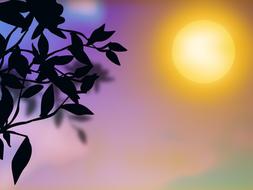 black branches against purple sunset background