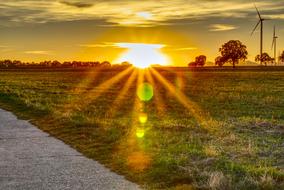 bright sun at horizon in rural landscape