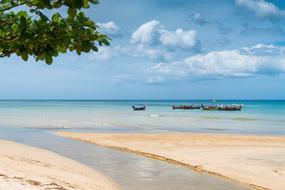 distant view of boats near the tropical coast