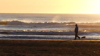 Body Of Water Beach Sea