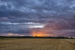 Landscape Field sunset