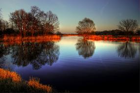 trees are reflected in the pond at sunset