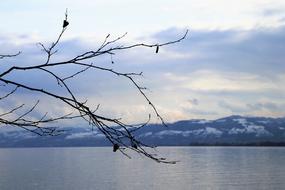 lake in winter on a cloudy day