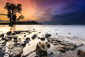 Landscape Stone , tree, water