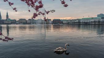 Waters at sunset in city