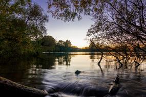 Waters Trees at Nature