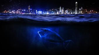 sea water and city skyline