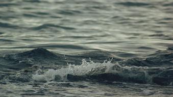 Water Sea Nature