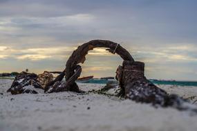 Sea Body Of Water Nature at sunset
