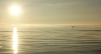 Fishing at Sunrise Dawn