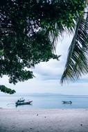 Beautiful landscape of the sandy beach with green trees and boats