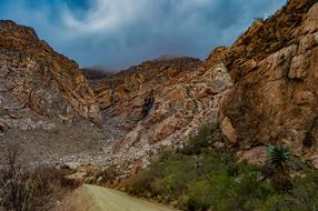 Mountain Trail Nature