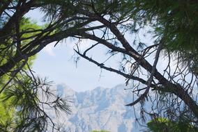 Landscape of Croatia Mountains