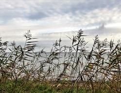 Landscape Baltic Sea Coast Bank