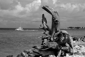 Driftwood Landscape