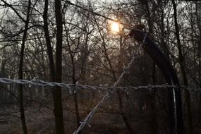 Light Barbed Wire as a Fence