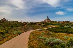 Landscape of corsica countryside