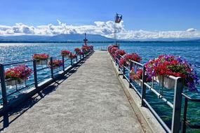 Flowers in boxes on railing of long pier at sea