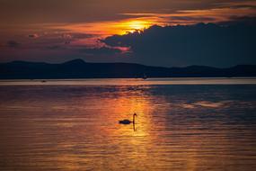 Lake Balaton Nature at Sunset