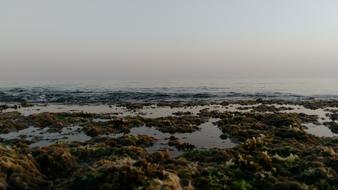 Marine Rocky Beach