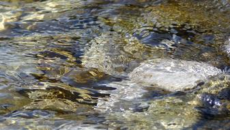 clear Sea Water Vacations
