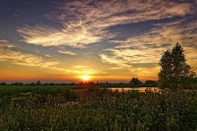 Beautiful landscape with the plants and water, at colorful and beautiful twilight with clouds