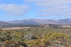 View Mountains Forest