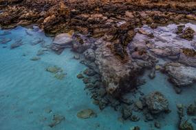 Water Transparent Clear