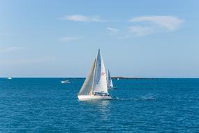 Water Sea Sailboat