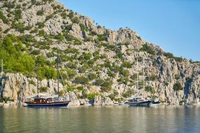 Nature Marine Landscape