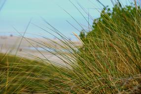 Sea Beach Stella Hauts De