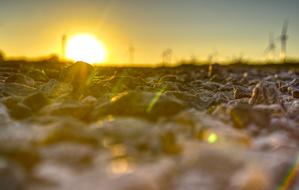 Sunset Stones Gravel Close