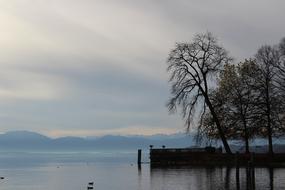 trees by the lake against the background of mountains