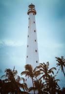 Lighthouse Tree Beach