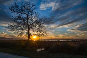 Dawn Sunset Landscape