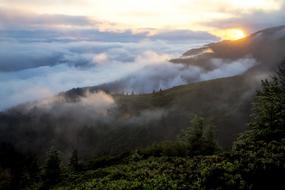 Mountains Landscape Mist