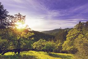 Valley Sonoma California