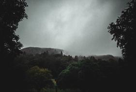 Nature Lake District